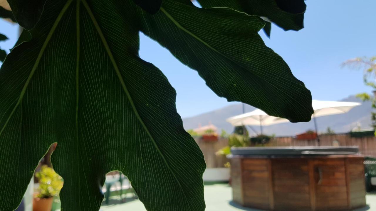 Posada Alpujarra Sol Hotel Orgiva Exterior photo